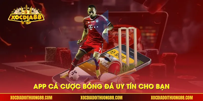 App cá cược bóng đá uy tín cho bạn