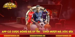 App cá cược bóng đá uy tín