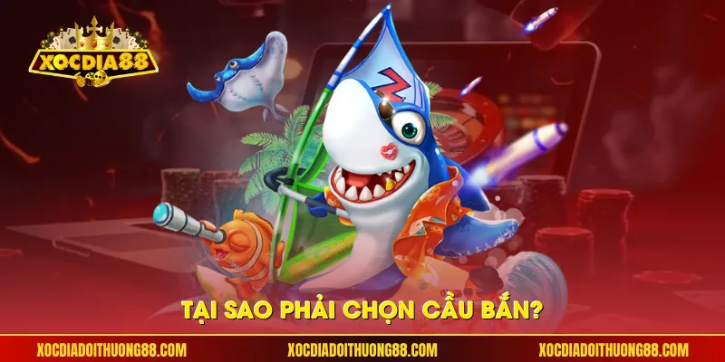 Tại sao phải chọn cầu bắn?