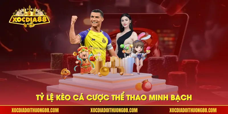 Tỷ lệ kèo cá cược thể thao minh bạch