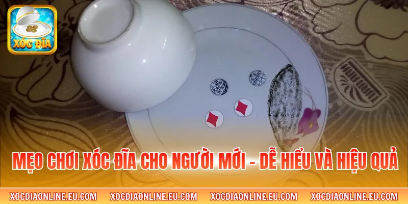 Mẹo Chơi Xóc Đĩa Cho Người Mới - Dễ Hiểu Và Hiệu Quả