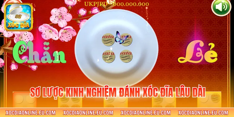 Sơ lược kinh nghiệm đánh xóc đĩa lâu dài