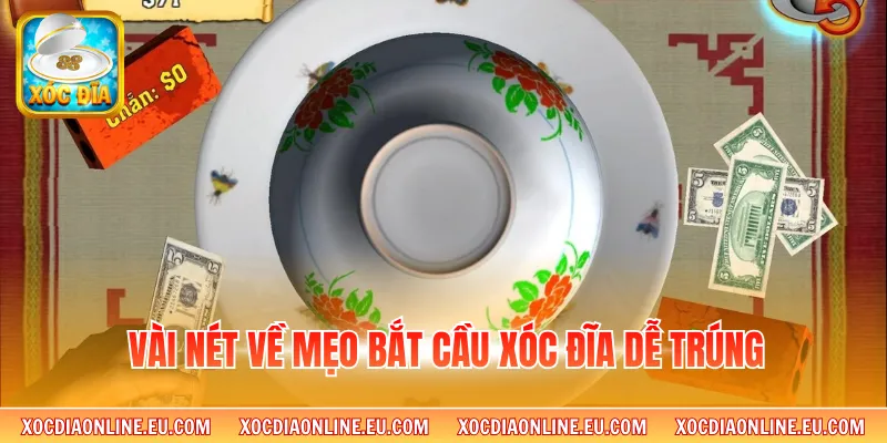 Vài nét về mẹo bắt cầu xóc đĩa dễ trúng