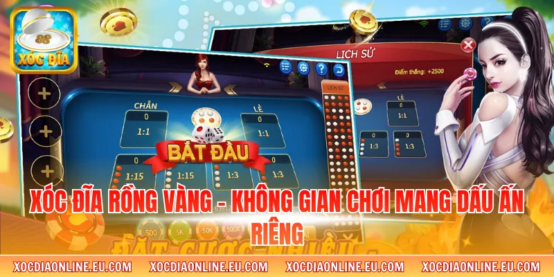 Xóc Đĩa Rồng Vàng - Không Gian Chơi Mang Dấu Ấn Riêng
